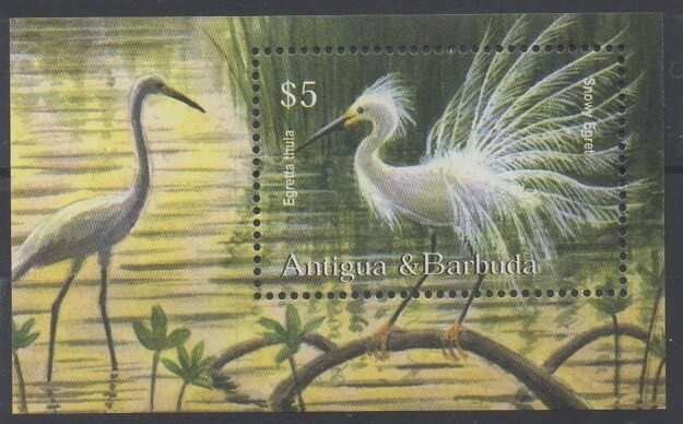 Timbres sur les oiseaux (échassiers) d'Antigua et Barbuda