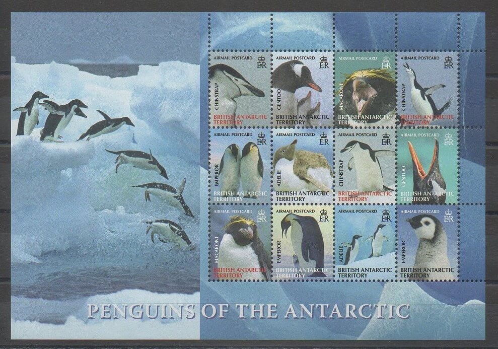 Timbre territoire antarctique Cétacées