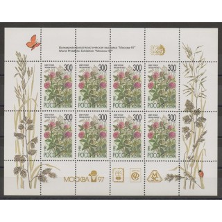 Timbres - fleurs  - Russie - 1995- No 6124
