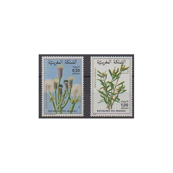 Buy this set of stamps of Morocco of the year 1980 (Nb 868/869).
