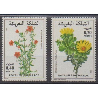 Buy this set of stamps of Morocco of the year 1981 (Nb 880/881).