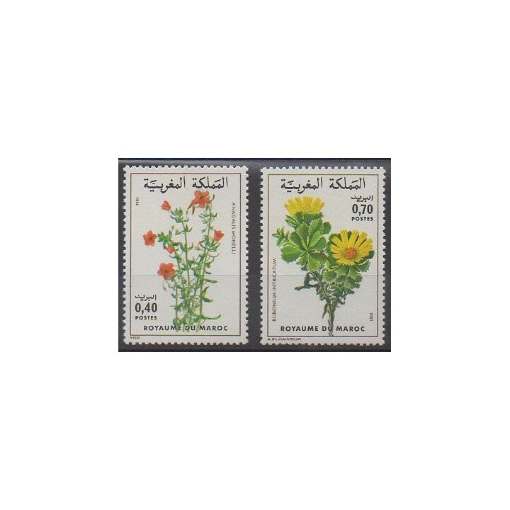 Buy this set of stamps of Morocco of the year 1981 (Nb 880/881).