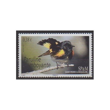 Saint-Pierre et Miquelon - 2015 - No 1124 - Oiseaux