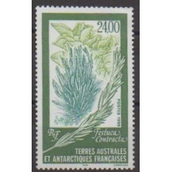 French Southern and Antarctic Territories - Post - 1999 - Nb 244 - Flowers