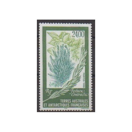 French Southern and Antarctic Territories - Post - 1999 - Nb 244 - Flowers