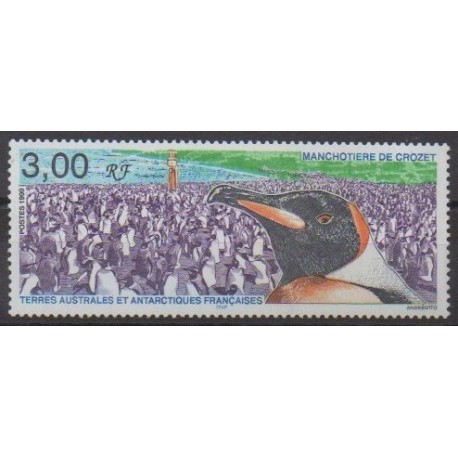 TAAF - 1999 - No 237 - Oiseaux