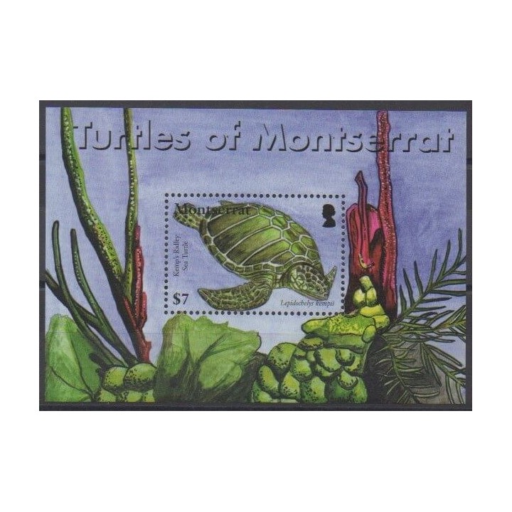 Buy this souvenir sheet  of Montserrat of the year 2007 (Nb BF115).