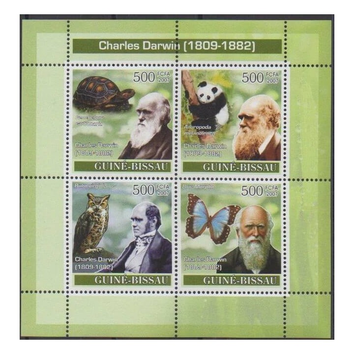 Buy this set of stamps of Guinea-Bissau of the year 2007 (Nb 2416/2419).