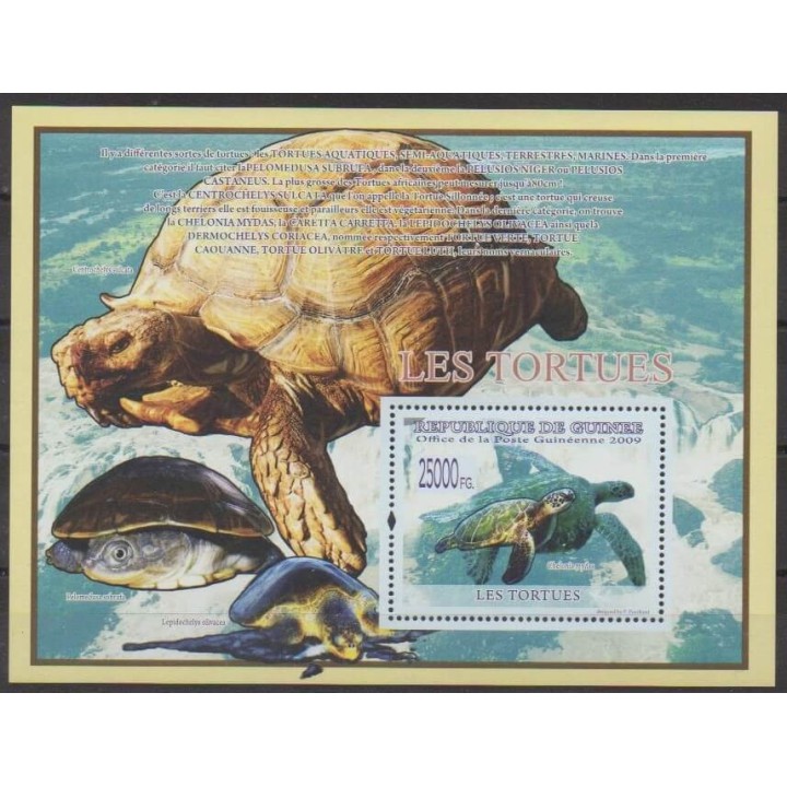 Buy this souvenir sheet  of Guinea of the year 2009 (Nb BF981).