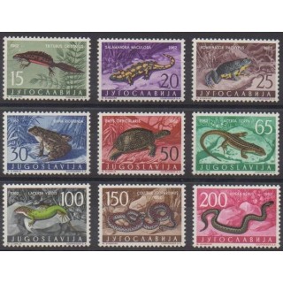 Buy this set of stamps of Yugoslavia of the year 1962 (Nb 905/913).