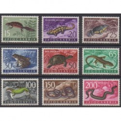 Yugoslavia - 1962 - Nb 905/913 - Reptils