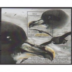 French Southern and Antarctic Lands - Blocks and sheets - 2022 - Nb F1008 - Birds
