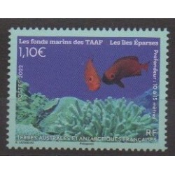 TAAF - 2022 - No 1005 - Vie marine