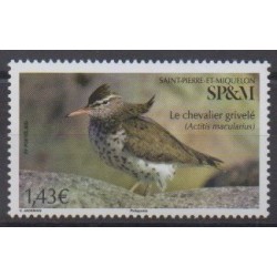 Saint-Pierre et Miquelon - 2022 - No 1277 - Oiseaux