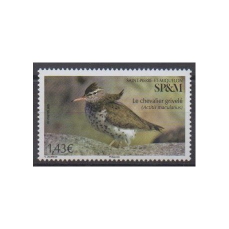Saint-Pierre et Miquelon - 2022 - No 1277 - Oiseaux