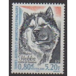French Southern and Antarctic Territories - Post - 2000 - Nb 265 - Dogs