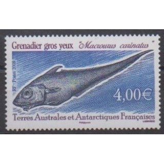 Acheter ce timbre des Terres Australes et Antarctiques Françaises de l'année 2008 (No 505).