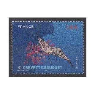 Buy this stamp of France of the year 2022 (Crevette Bouquet).