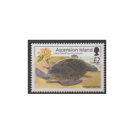 Ascension Island - 2002 - Nb 813 - Turtles