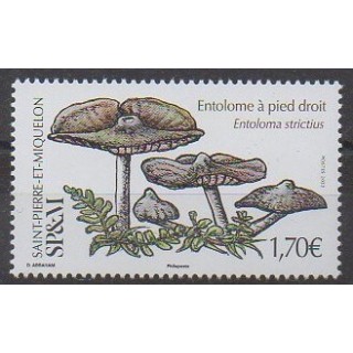 Buy this stamp of Saint-Pierre et Miquelon of the year 2022 (Entolome à pied droit).