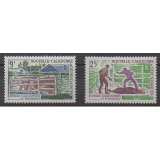 Buy this set of stamps of New Caledonia of the year 1969 (Nb 356/357).