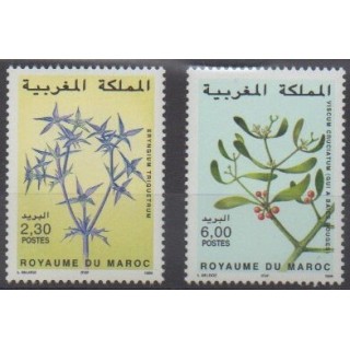 Acheter cette série de timbres du Maroc de l'année 1999 (No 1235/1236).