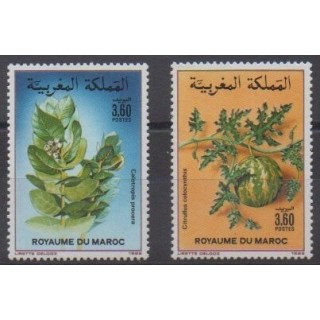 Buy this set of stamps of Morocco of the year 1988 (Nb 1052/1053).