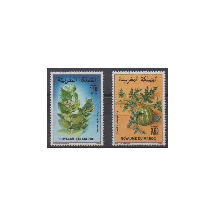 Buy this set of stamps of Morocco of the year 1988 (Nb 1052/1053).