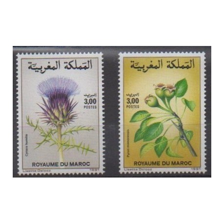 Maroc - 1991 - No 1102/1103 - Fleurs