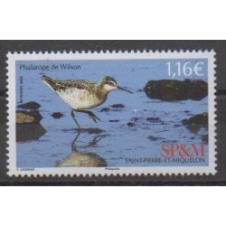 Saint-Pierre et Miquelon - 2023 - No 1301 - Oiseaux