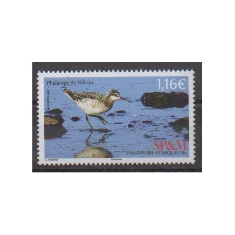 Saint-Pierre et Miquelon - 2023 - No 1301 - Oiseaux