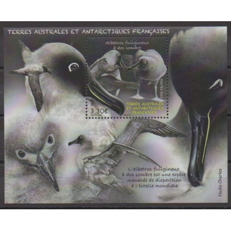 French Southern and Antarctic Lands - Blocks and sheets - 2023 - Nb F1034 - Birds - Endangered species - WWF