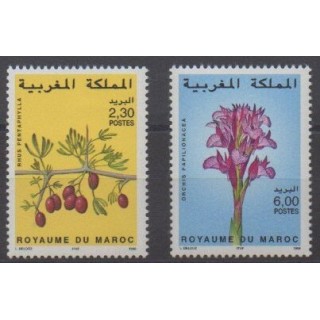 Buy this set of stamps of Morocco of the year 1998 (Nb 1219/1220).