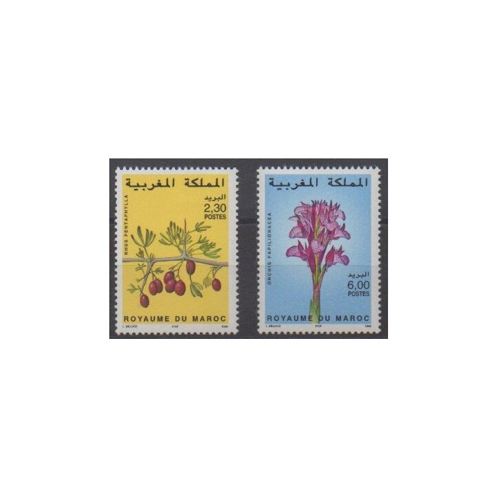 Buy this set of stamps of Morocco of the year 1998 (Nb 1219/1220).