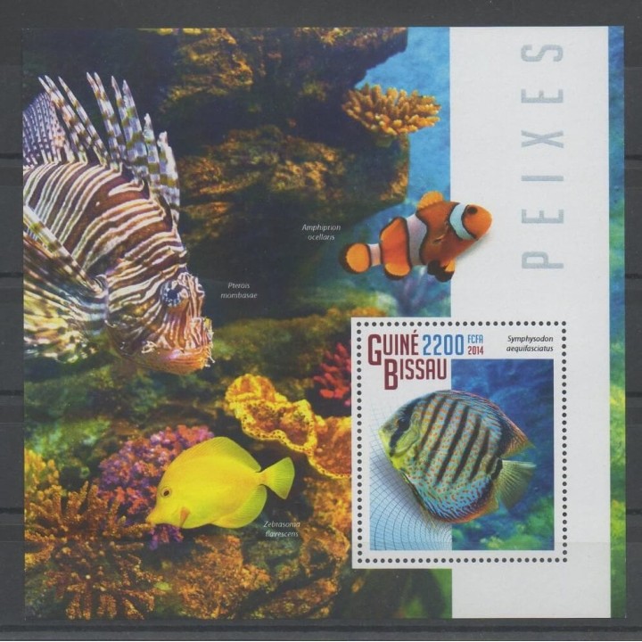 Stamps - Guinea-Bissau - 2014 - Nb BF 1023 - Fishes