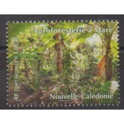 New Caledonia - 2023 - Agroforesterie à Maré