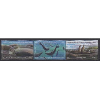 Buy this stamp of FSAL of the year 2023 (Eléphants de mer).