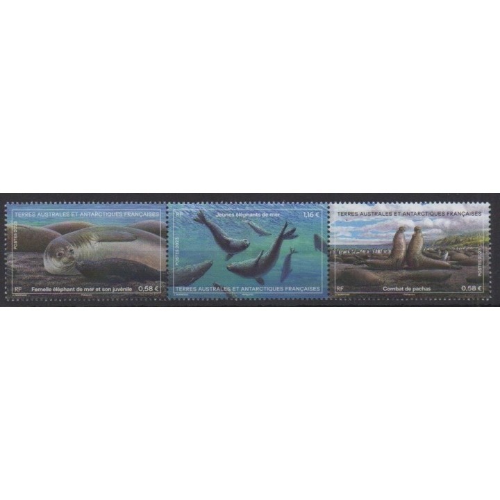 Buy this stamp of FSAL of the year 2023 (Eléphants de mer).