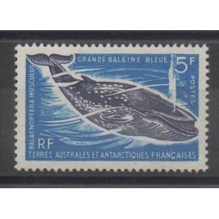 Timbres - TAAF  - 1966 - No 22 - Vie marine