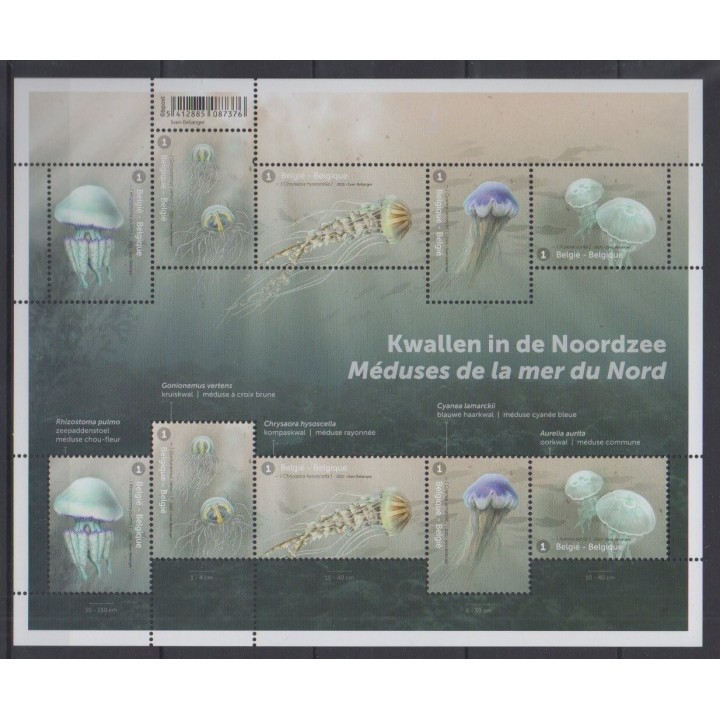 Buy this souvenir sheet  of Belgium of the year 2021 (Nb F4986).