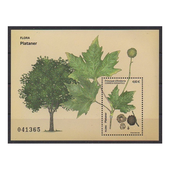 Buy this souvenir sheet  of Spanish Andorra of the year 2023 (Nb F533).