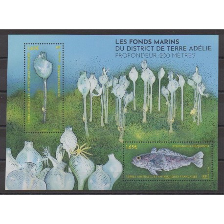 French Southern and Antarctic Lands - Blocks and sheets - 2024 - Nb F1081 - Sea life