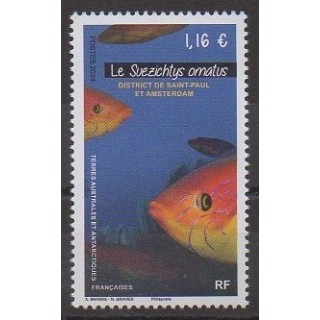 Acheter ce timbre des Terres Australes et Antarctiques Françaises de l'année 2024 (Le Svezichtys amatus).