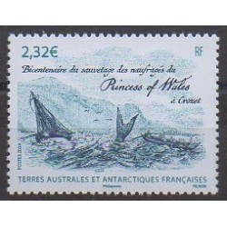 French Southern and Antarctic Territories - Post - 2024 - Sauvetage du Princess of Wales - Boats