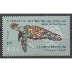 French Southern and Antarctic Territories - Post - 2024 - Tortue imbriquée - Turtles