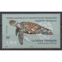 French Southern and Antarctic Territories - Post - 2024 - Nb 1077 - Turtles