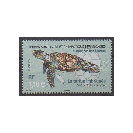 French Southern and Antarctic Territories - Post - 2024 - Nb 1077 - Turtles