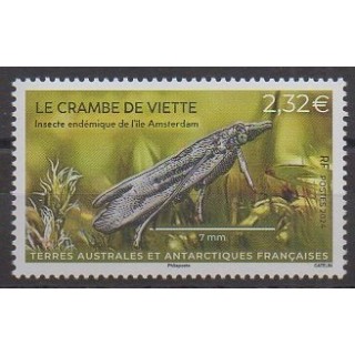 Acheter ce timbre des Terres Australes et Antarctiques Françaises de l'année 2024 (Le crambe de viette).