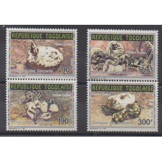 Buy this set of stamps of Togo of the year 1992 (Nb 1317/1320).