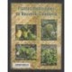 New Caledonia - Blocks and sheets - 2024 - Plantes médicinales - Health or Red cross - Flora